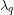 \lambda_q
