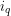 i_q